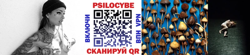 наркошоп  Ноябрьск  Псилоцибиновые грибы Magic Shrooms 