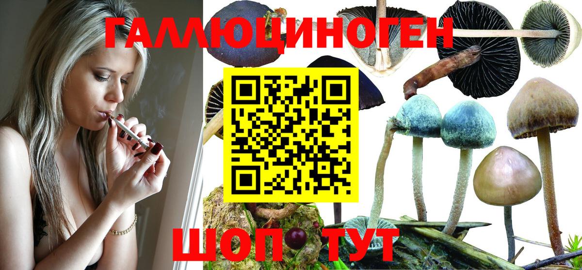 Ноябрьск  хочу   Псилоцибиновые грибы GOLDEN TEACHER  Вход с VPN  Псилоцибиновые грибы ЛСД 
