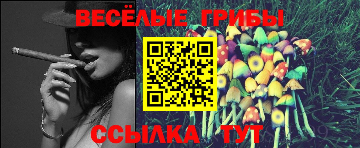 Псилоцибиновые грибы Psilocybe Ноябрьск